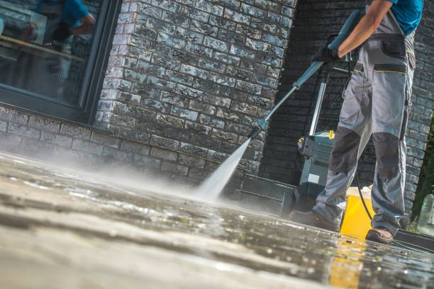 Best Fleet Vehicle Washing  in Lyles, TN