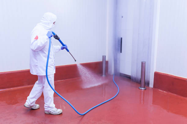 Best Roof Washing  in Lyles, TN